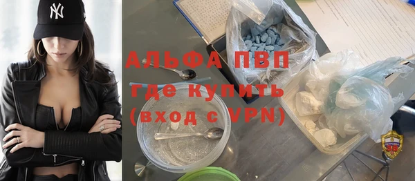 твердый Бородино