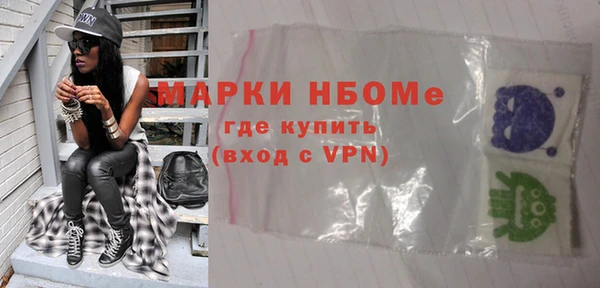 твердый Бородино