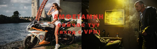 твердый Бородино