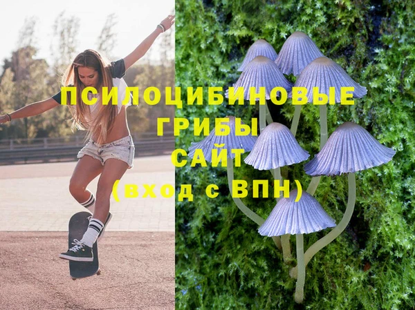 прущая мука Богданович