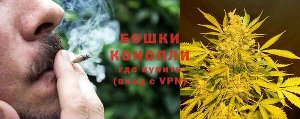 твердый Бородино