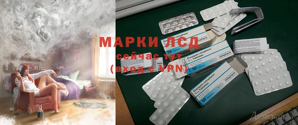 твердый Бородино