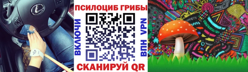 Псилоцибиновые грибы мицелий  Михайлов 